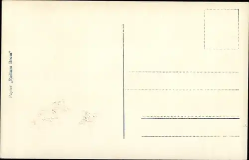 Ak Die beiden Söhne unseres Kronprinzenpaares, Prinz Wilhelm und Prinz Louis Ferdinand