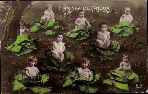 Ak Kinder wachsen auf Kohlköpfen, Fotomontage, Graine de Choux