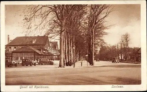 Ak Apeldoorn Gelderland, Loolaan