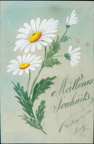 Zelluloid Ak Meilleurs Souhaits, Margeriten