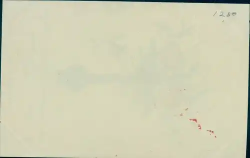 Zelluloid Ak Rosen in der Blumenvase