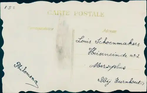 Zelluloid Ak Lila Blumen, Kitsch