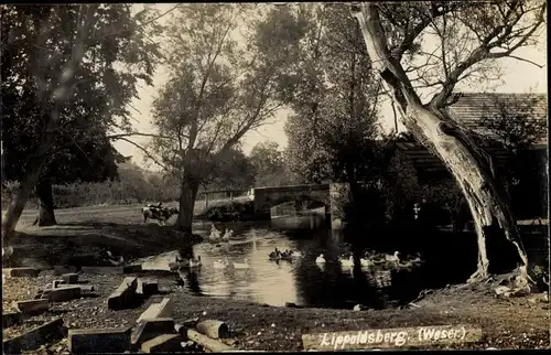 Foto Ak Lippoldsberg Bodenfelde in Niedersachsen, Flussuferpartie, Enten, Kuh, Flussbrücke