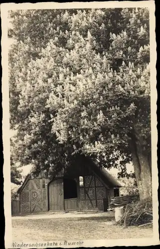 Ak Rothenhahn Rotenhahn Rumohr in Schleswig Holstein, Haus, Blühender Baum