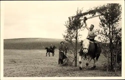 Foto Ak Vienenburg Goslar am Harz, Kuhreiten