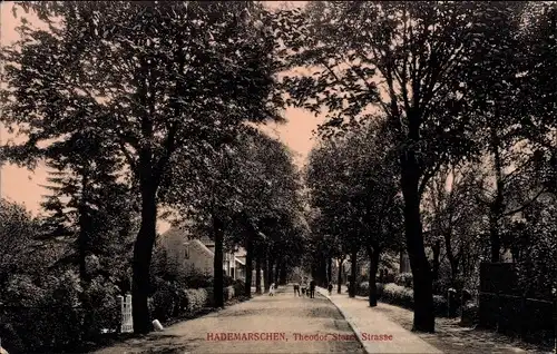 Ak Hademarschen in Holstein, Theodor-Storm-Straße