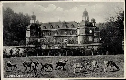 Ak Crottorf Friesenhagen Rheinland Pfalz, Wasserschloss Crottorf