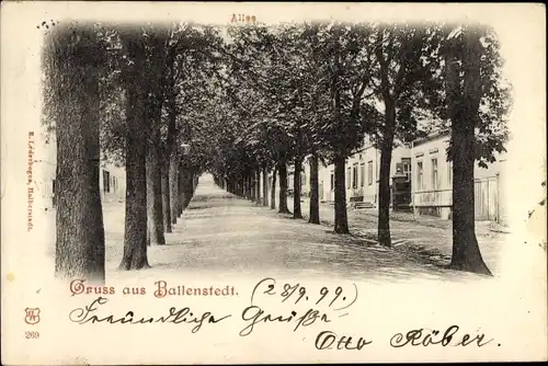 Ak Ballenstedt im Harz, Allee