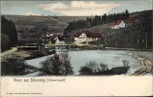 Ak Altensteig im Schwarzwald Württemberg, Blick auf den Ort