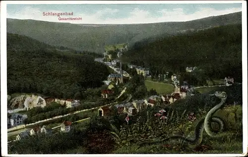 Ak Schlangenbad im Taunus Hessen, Panorama