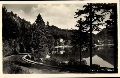 Ak Urfeld Kochel am See in Oberbayern, Partie am See, Wald