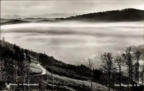 Ak Sankt Blasien im Schwarzwald, Ort im Morgennebel