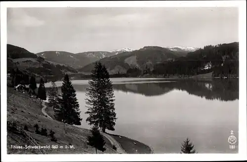 Ak Titisee Neustadt im Breisgau Hochschwarzwald, Landschaft