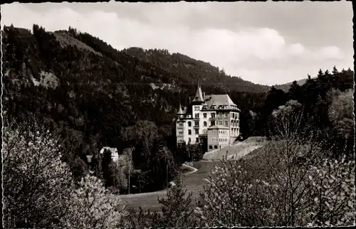 Ak Badenweiler im Schwarzwald, Haus am Wald