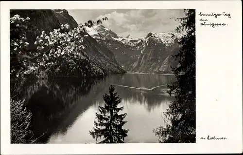 Ak Schönau am Königssee Oberbayern, Landschaftsblick an einem sonnigen Tag