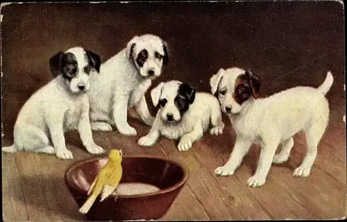 Ak Vier Welpen und ein Vogel