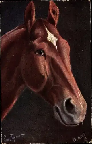 Künstler Ak Thomas, Paul, The Horse, Pferdekopf, Primus Nr 353