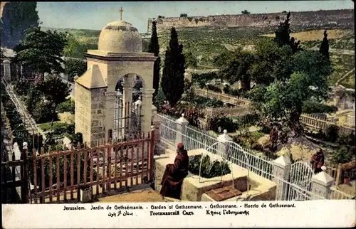 Ak Jerusalem Israel, Blick in den Garten Gethsemane