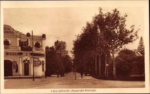 Ak Valladolid Kastilien und Leon, Paseo del Principe