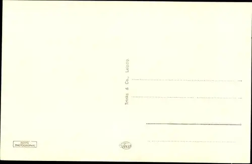 Ak Borna in Sachsen, Mauerpartie mit Blick auf Reichstor