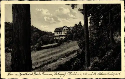 Ak Hohegeiß Braunlage im Oberharz, Hotel Dicke Tannen