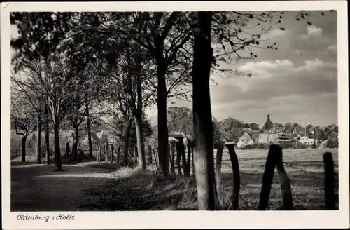 Ak Oldenburg in Holstein, Blick auf den Ort, Teilansicht