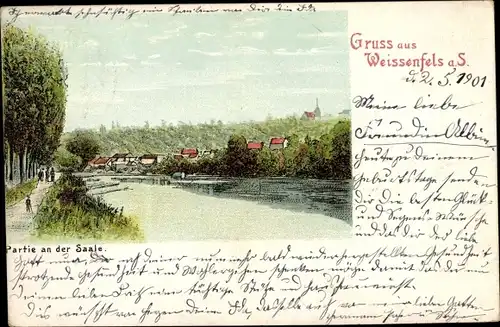 Litho Weißenfels an der Saale, Partie an der Saale