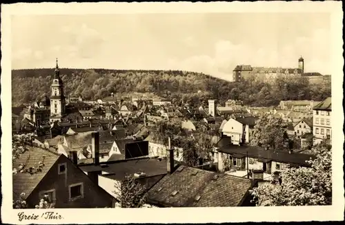 Ak Greiz im Vogtland, Panorama