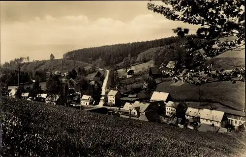 Ak Hallbach Olbernhau im Erzgebirge Sachsen, Gesamtansicht