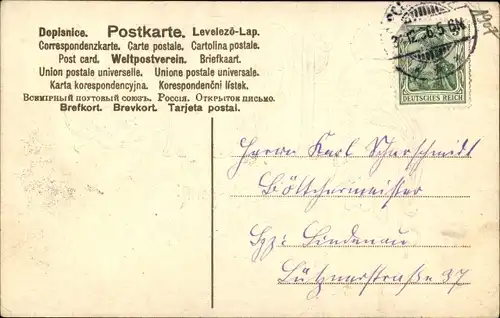 Präge Ak Glückwunsch Neujahr 1906, Blaue Blumen