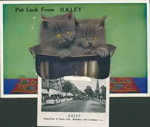 Leporello Ak Ilkley Yorkshire England, Straßenpartie, zwei Katzenbabys