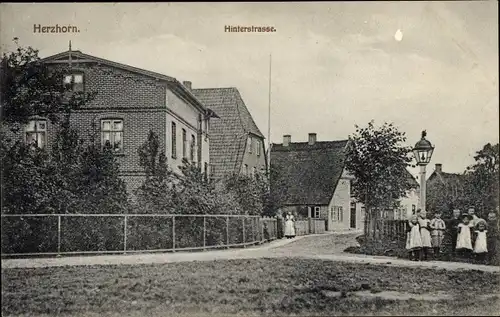 Ak Herzhorn in Holstein, Hinterstraße