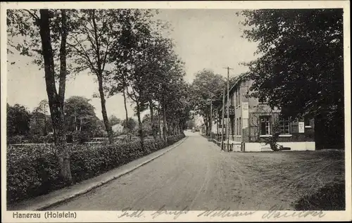 Ak Hanerau Hademarschen in Holstein, Straßenpartie