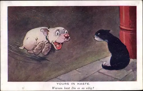 Ak Yours in Haste, Warum hast Du es so eilig, Hund und Katze