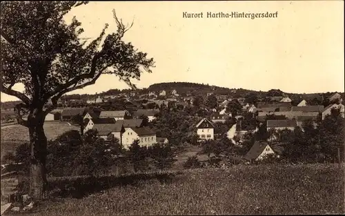 Ak Hartha Hintergersdorf Tharandt Sachsen, Totalansicht, Panorama