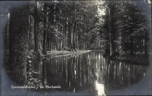 Ak Spreewaldbilder, Im Hochwald