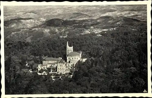 Ak Bussaco Buçaco Portugal, Vista Geral da Mata