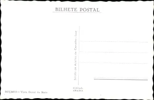 Ak Bussaco Buçaco Portugal, Vista Geral da Mata