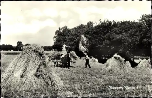 Ak Barchem Gelderland, Landwirtschaft, Bauern, Strohgarben, Fuhrwerk