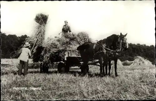 Ak Barchem Gelderland, Landwirtschaft, Bauern, Strohgarben, Fuhrwerk