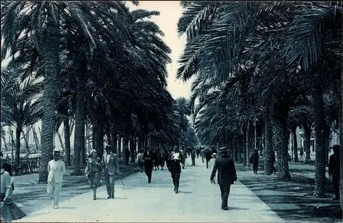 Ak Alicante Valencia Spanien, Paseo de los Mártires