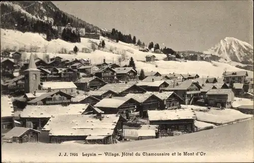 Ak Leysin Kanton Waadt, Hotel du Chamossaire et le Mont d'Or