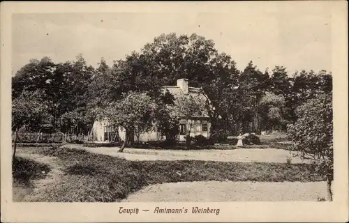 Ak Teupitz Brandenburg, Amtmann's Weinberg