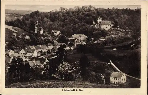 Ak Liebstadt Sachsen, Blick auf den Ort