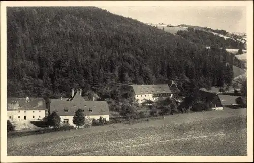Ak Bad Gottleuba in Sachsen, Hammergut Bienhof, Landpartie mit Wald