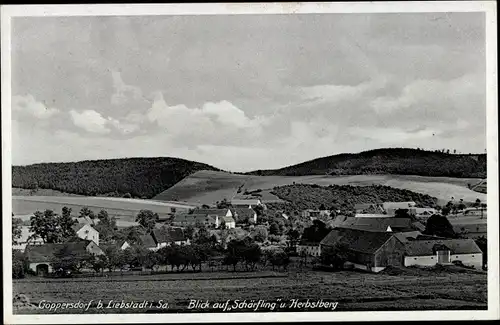 Ak Göppersdorf Burgstädt in Sachsen, Blick auf Schärfling und Herbstberg