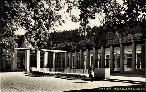 Ak Bad Elster im Vogtland, Wandelhalle mit Salzquelle