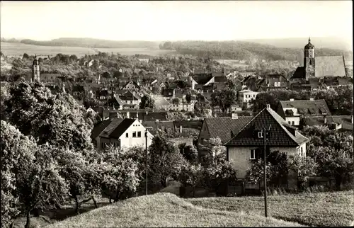 Ak Neustadt an der Orla, Blick vom Kalkofen