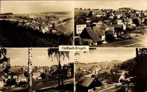 Ak Hallbach Olbernhau im Erzgebirge Sachsen, Panorama, Teilansichten