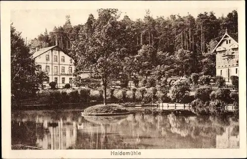 Ak Dresden Langebrück, Haus Haidemühle, Inh. Franz Riemer